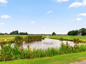 Camping de Nachtzwaluw in Ter Aar