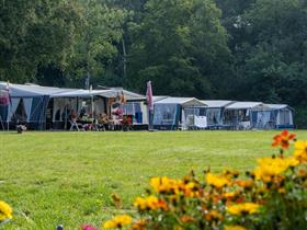 Camping Veluwschkarakter in Vierhouten