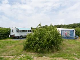 Camping De Rugediek in De Koog - Texel